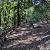Review photo of Uvas Canyon County Park by Joshua H., April 20, 2022