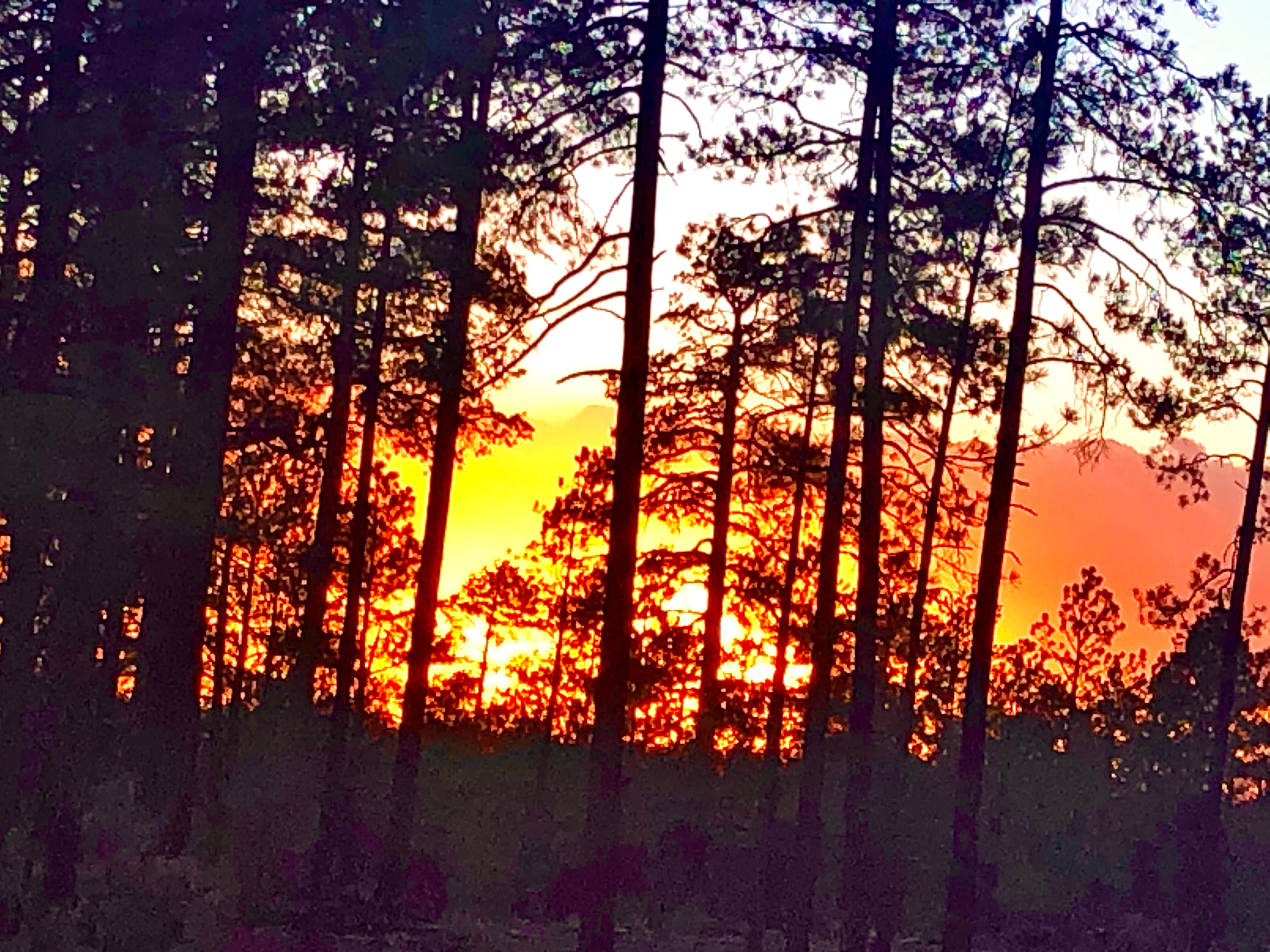 Camping near Chevelon Canyon Lake Campground: FR 170 mile marker 1, Forest Lakes, Arizona