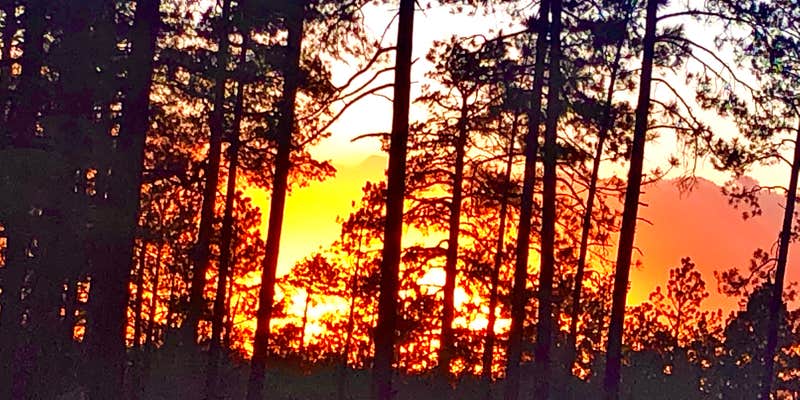 Camper submitted image from FR 170 mile marker 1