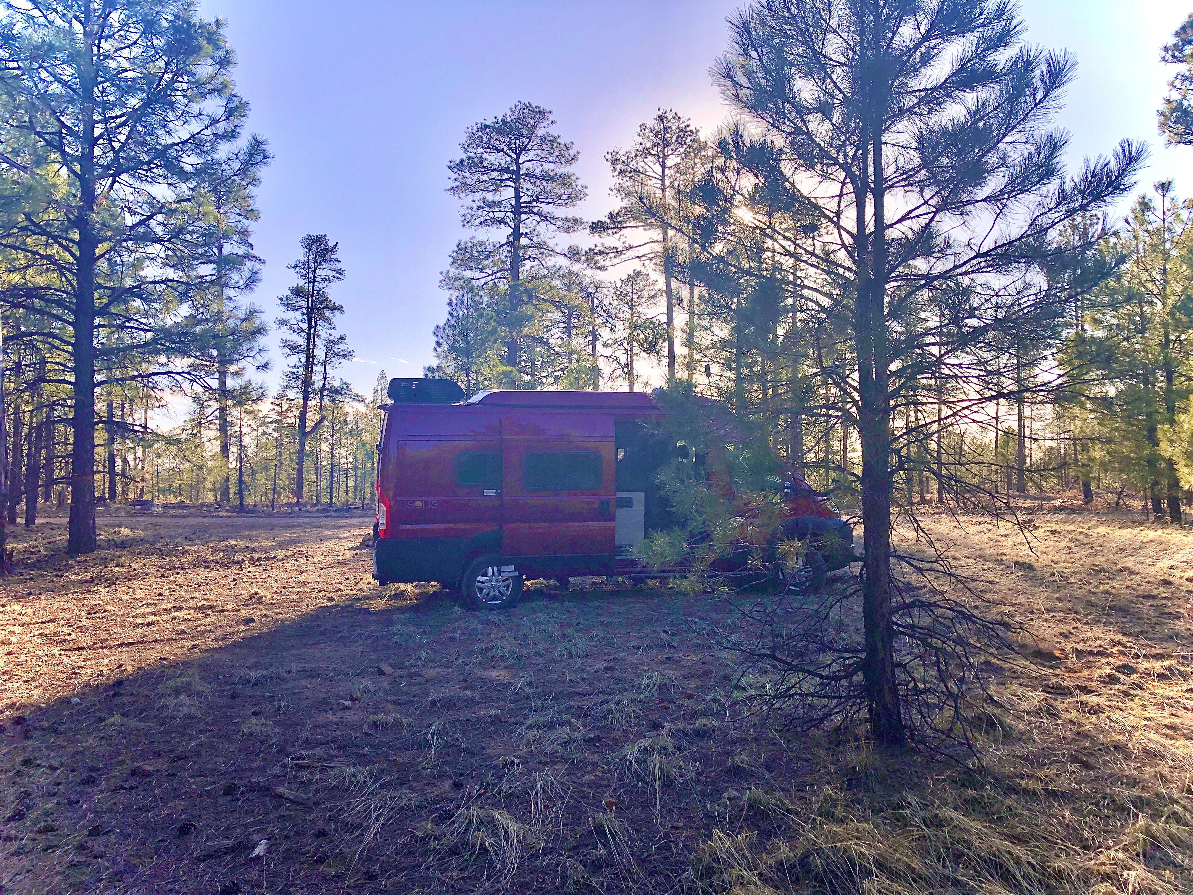 Camper submitted image from FR 170 mile marker 1 - 3