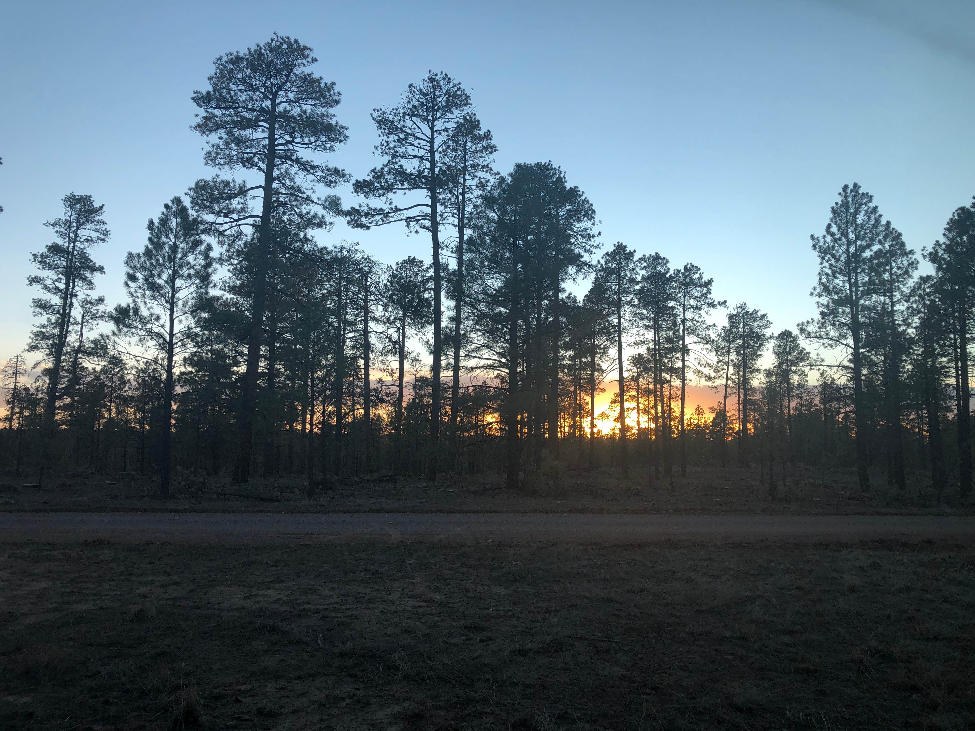 Camper-submitted photo at FR 170 mile marker 1 near Heber-Overgaard, AZ