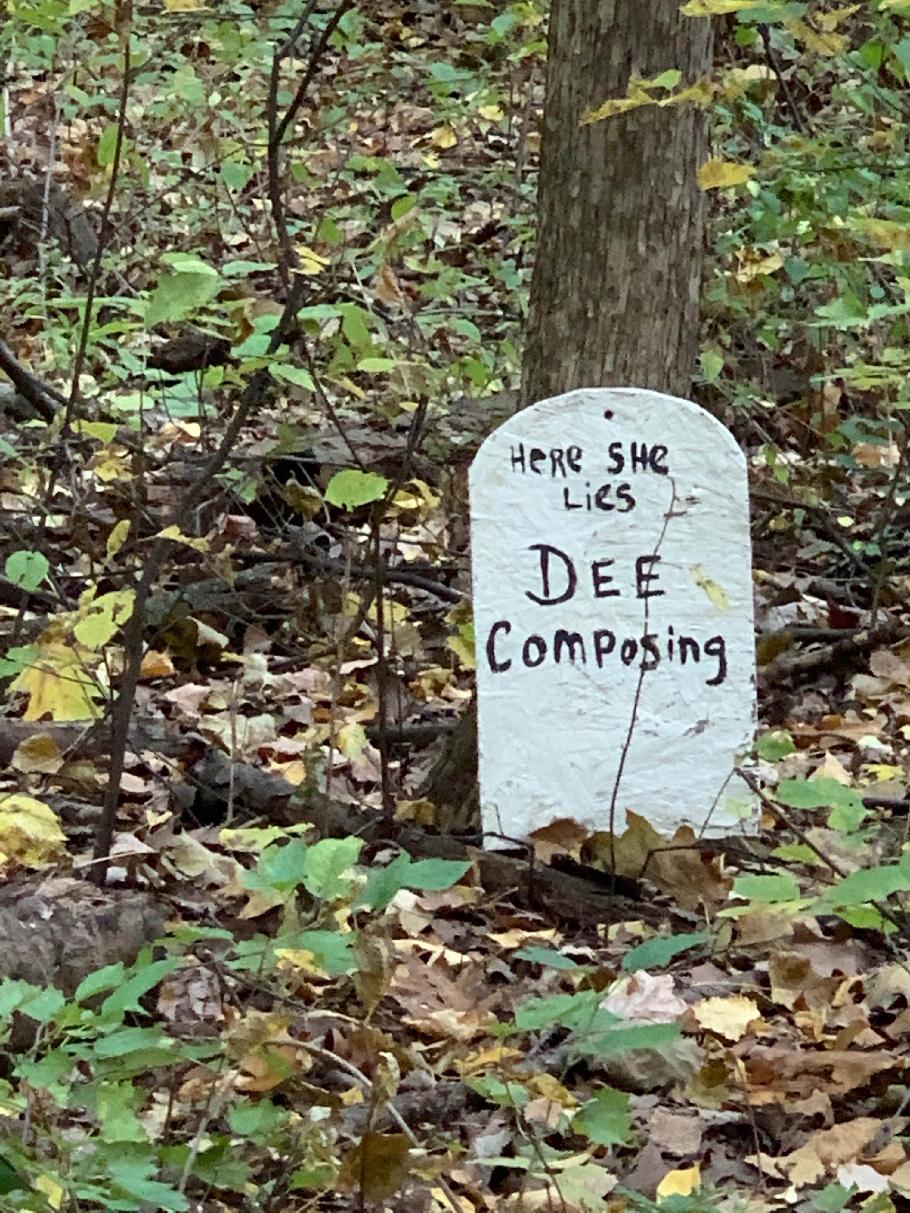 Camper-submitted photo at Lakeside Resort near Ionia, MI