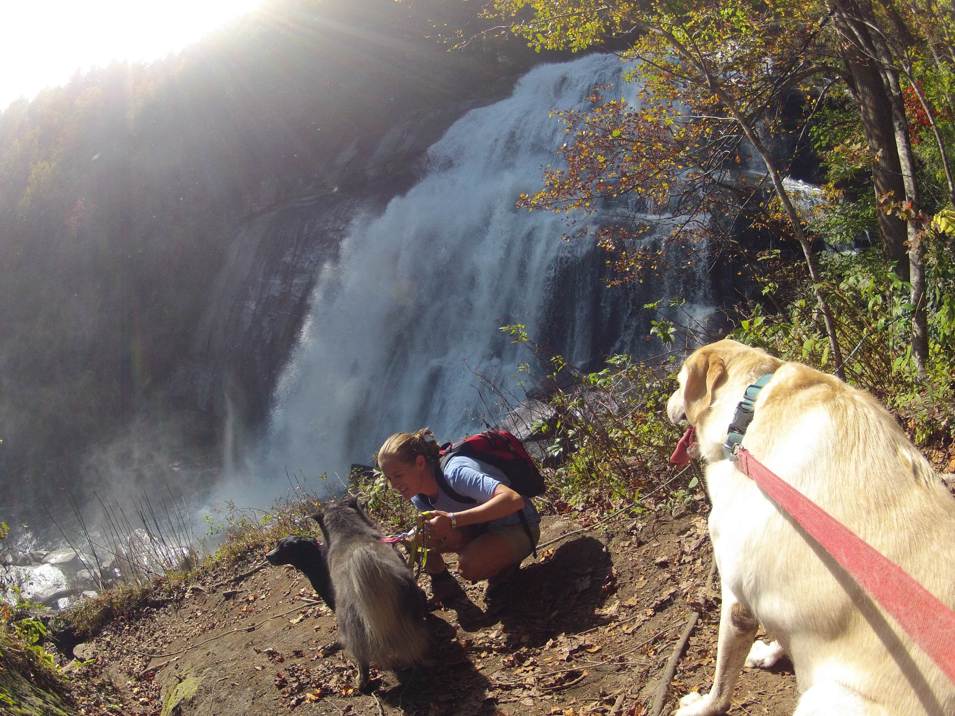Fain H.'s photo of camping with pets at Ray Fisher Campground— CLOSED near Cashiers, NC