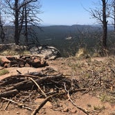 Review photo of Old Rim Road Dispersed Site by Vinny D., April 20, 2022