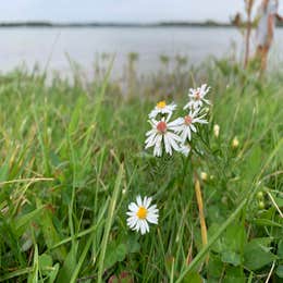 Gun Lake Campground — Yankee Springs Recreation Area