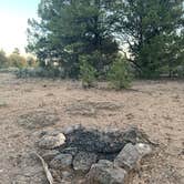 Review photo of Carson NF - Forest Service Road 578 - Dispersed Camping by Jacob  W., April 21, 2022