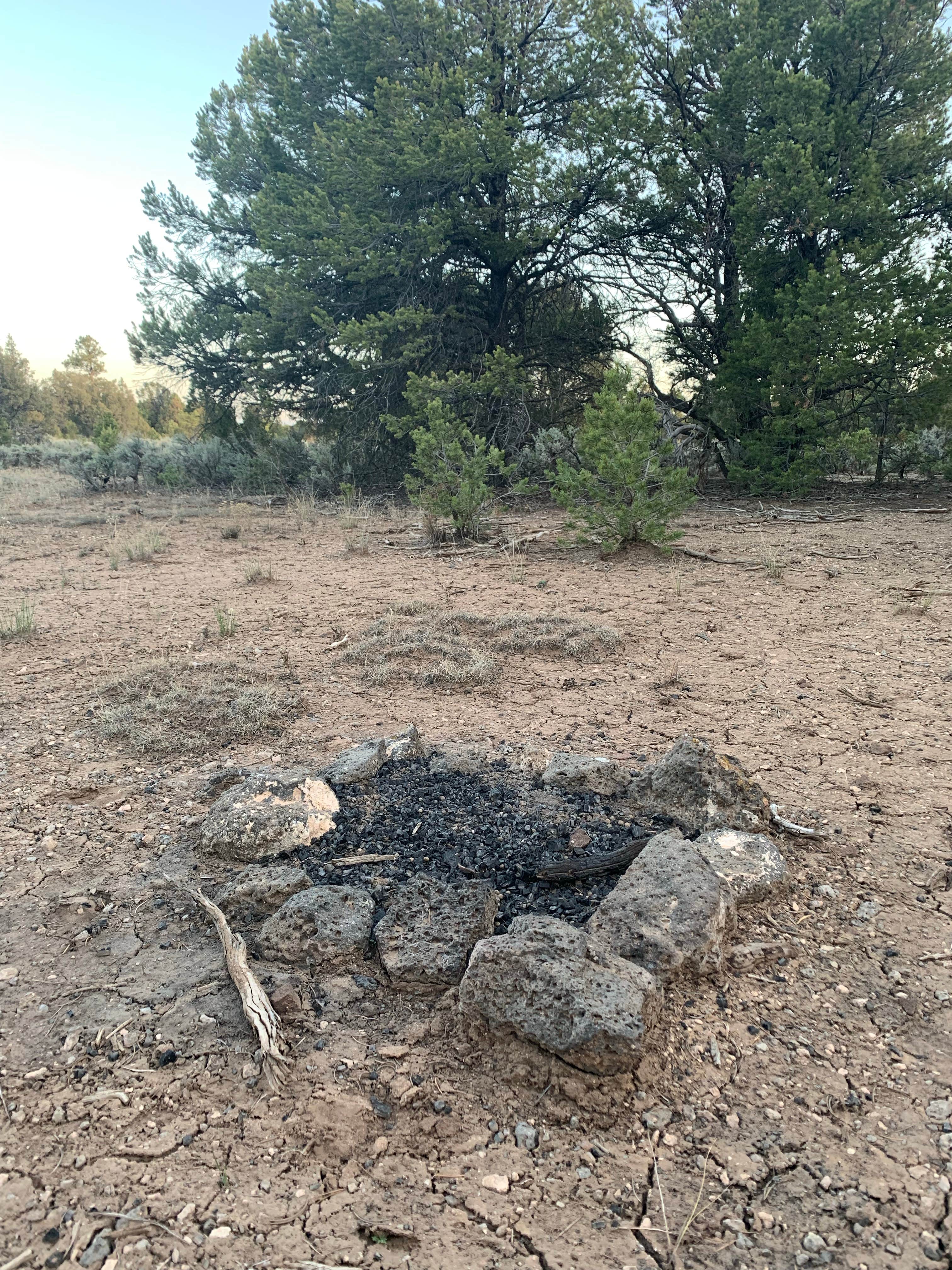 Camper submitted image from Carson NF - Forest Service Road 578 - Dispersed Camping - 3