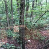 Review photo of Monte Sano State Park Campground by Charlie K., July 12, 2018