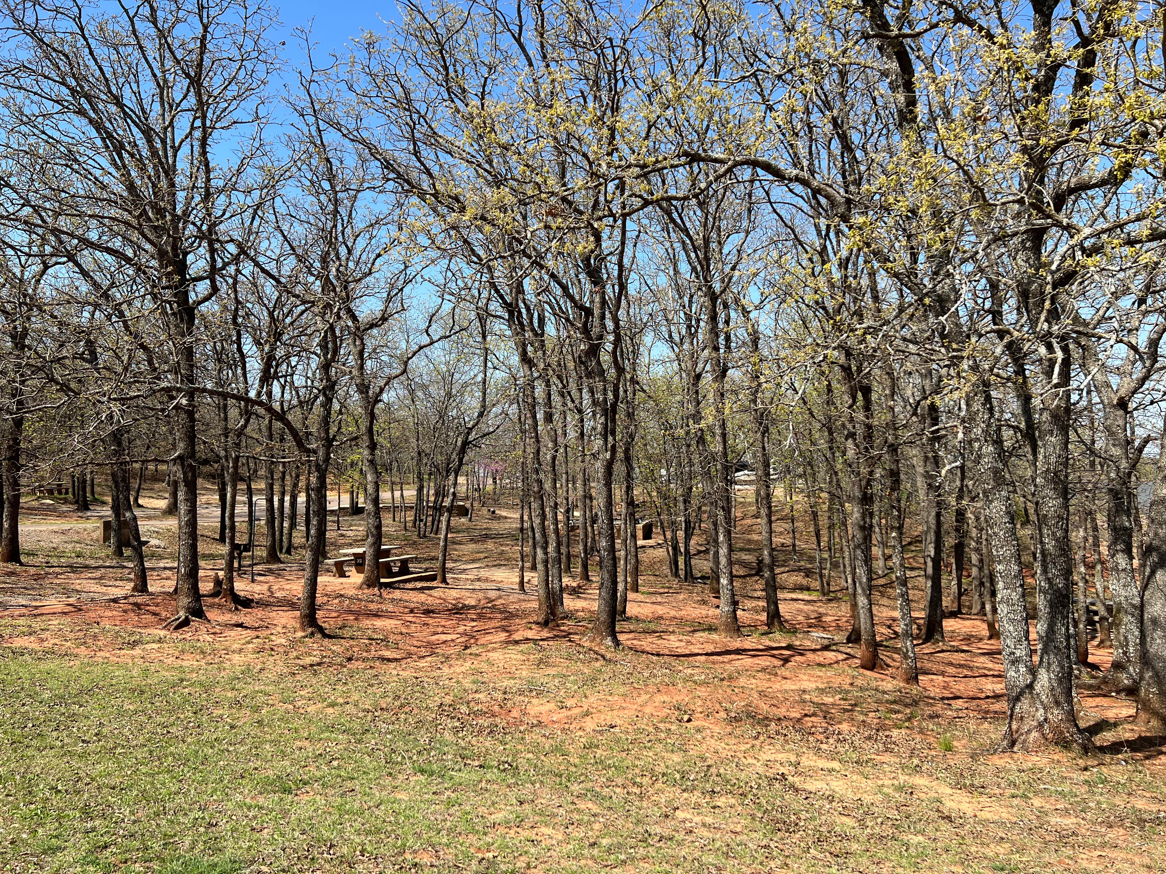 Camper-submitted photo at Little Sandy Campground — Lake Thunderbird State Park near Goldsby, OK