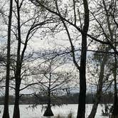 Review photo of Lake Bruin State Park Campground by Brandon R., April 21, 2022