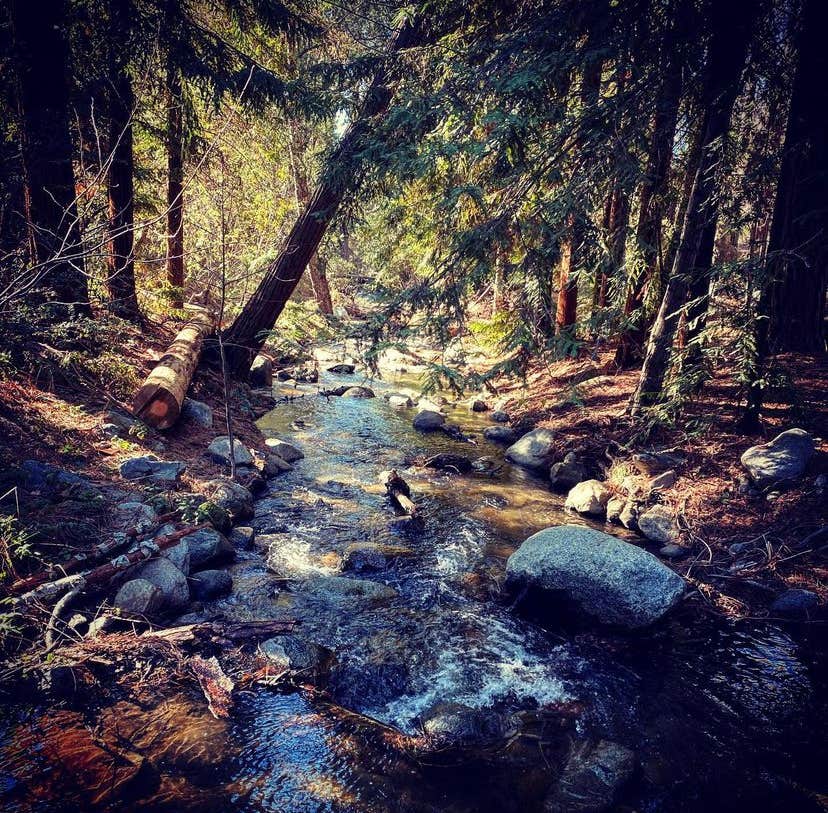 Camper-submitted photo at Three Falls Ranch Guest Cabin near Bear Valley Springs, CA