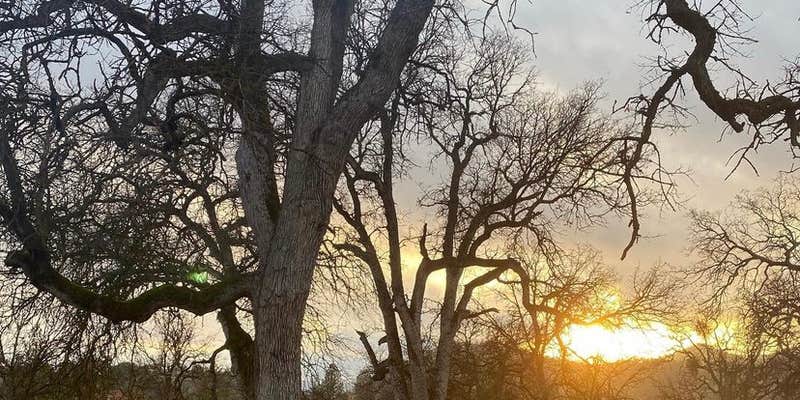 Camper submitted image from Three Falls Ranch Guest Cabin