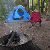 Review photo of Hunting Island State Park Campground by Fain H., July 24, 2016