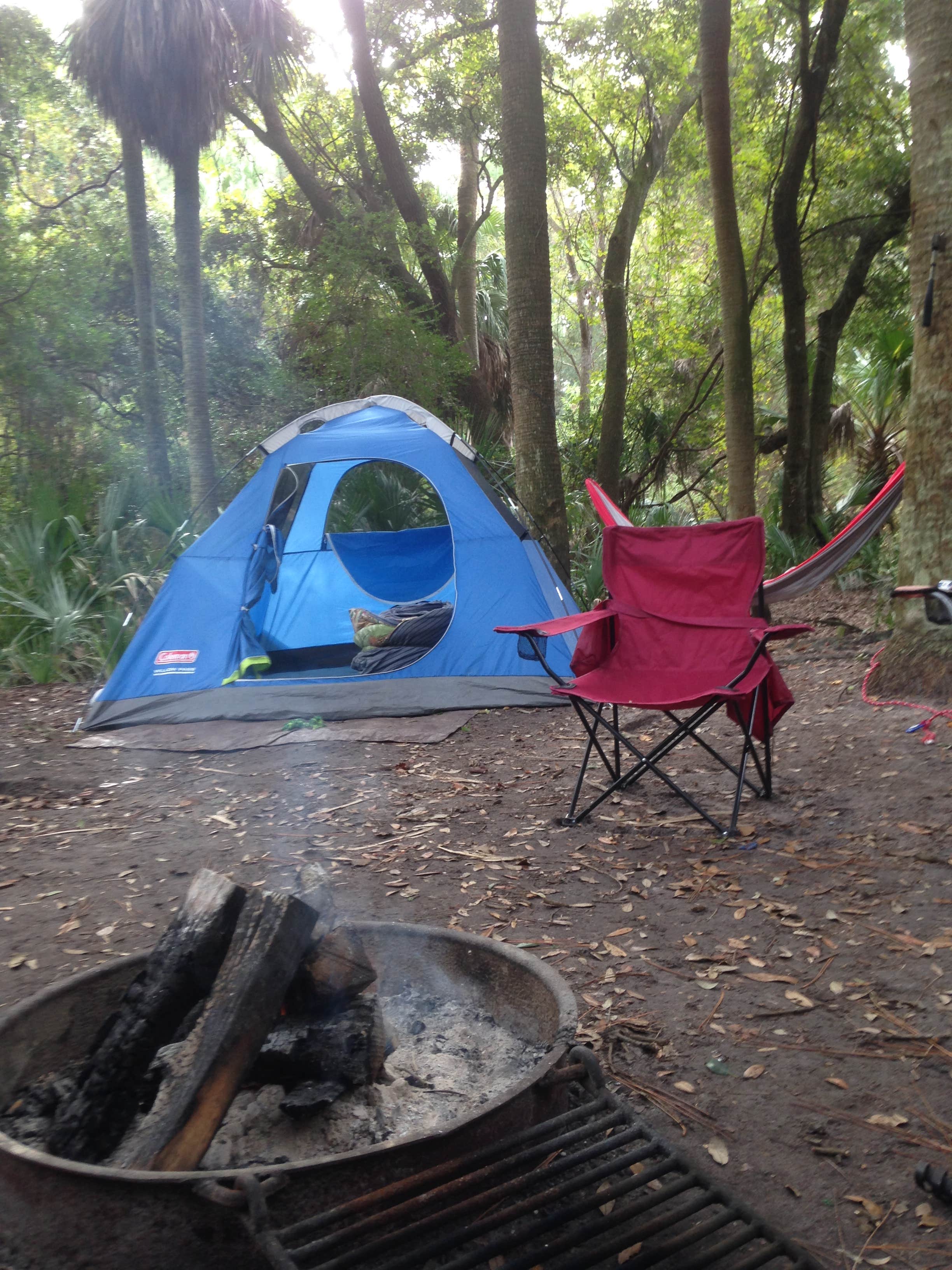 Camper submitted image from Hunting Island State Park Campground - 3