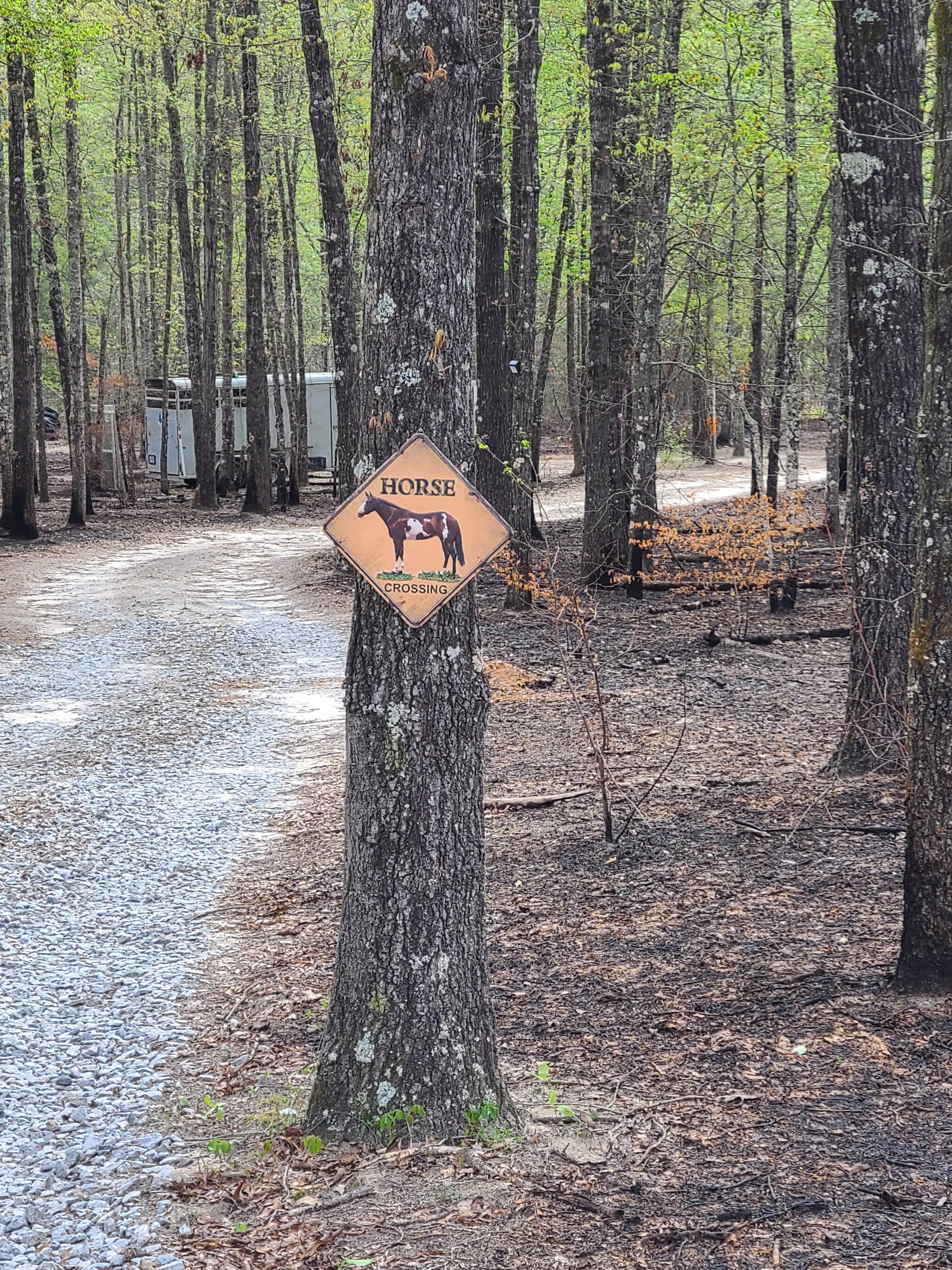 Camper-submitted photo at Unity Family Farm near North Augusta, SC