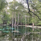 Review photo of Gilchrist Blue Springs State Park Campground by Steve G., April 18, 2022