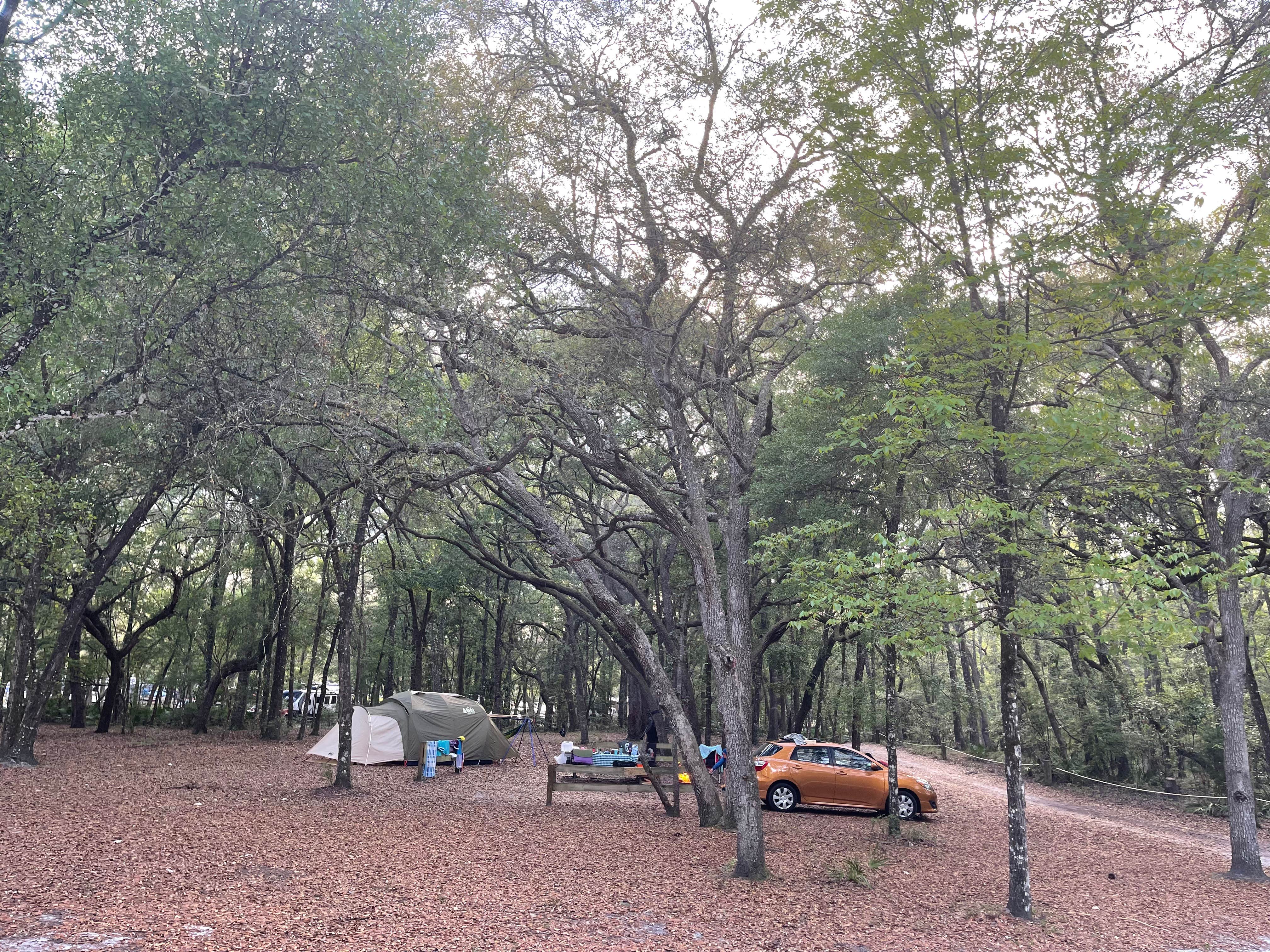 Steve G.'s photo at Gilchrist Blue Springs State Park Campground near High Springs, FL
