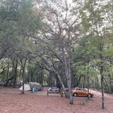 Review photo of Gilchrist Blue Springs State Park Campground by Steve G., April 18, 2022