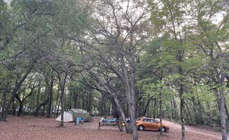 Steve G.'s photo at Gilchrist Blue Springs State Park Campground near High Springs, FL