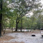 Review photo of Gilchrist Blue Springs State Park Campground by Steve G., April 18, 2022