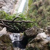 Review photo of Limekiln State Park Campground — TEMPORARILY CLOSED by Paula S., July 12, 2018