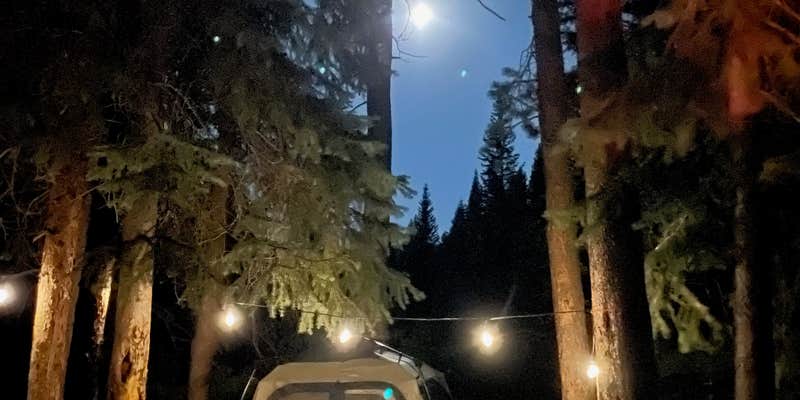 Camper submitted image from Idlewild Campground