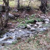 Review photo of Limekiln State Park Campground — TEMPORARILY CLOSED by Paula S., July 12, 2018