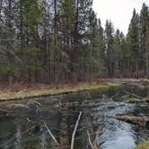 Review photo of LaPine State Park Campground by Becbecandbunny O., April 21, 2022