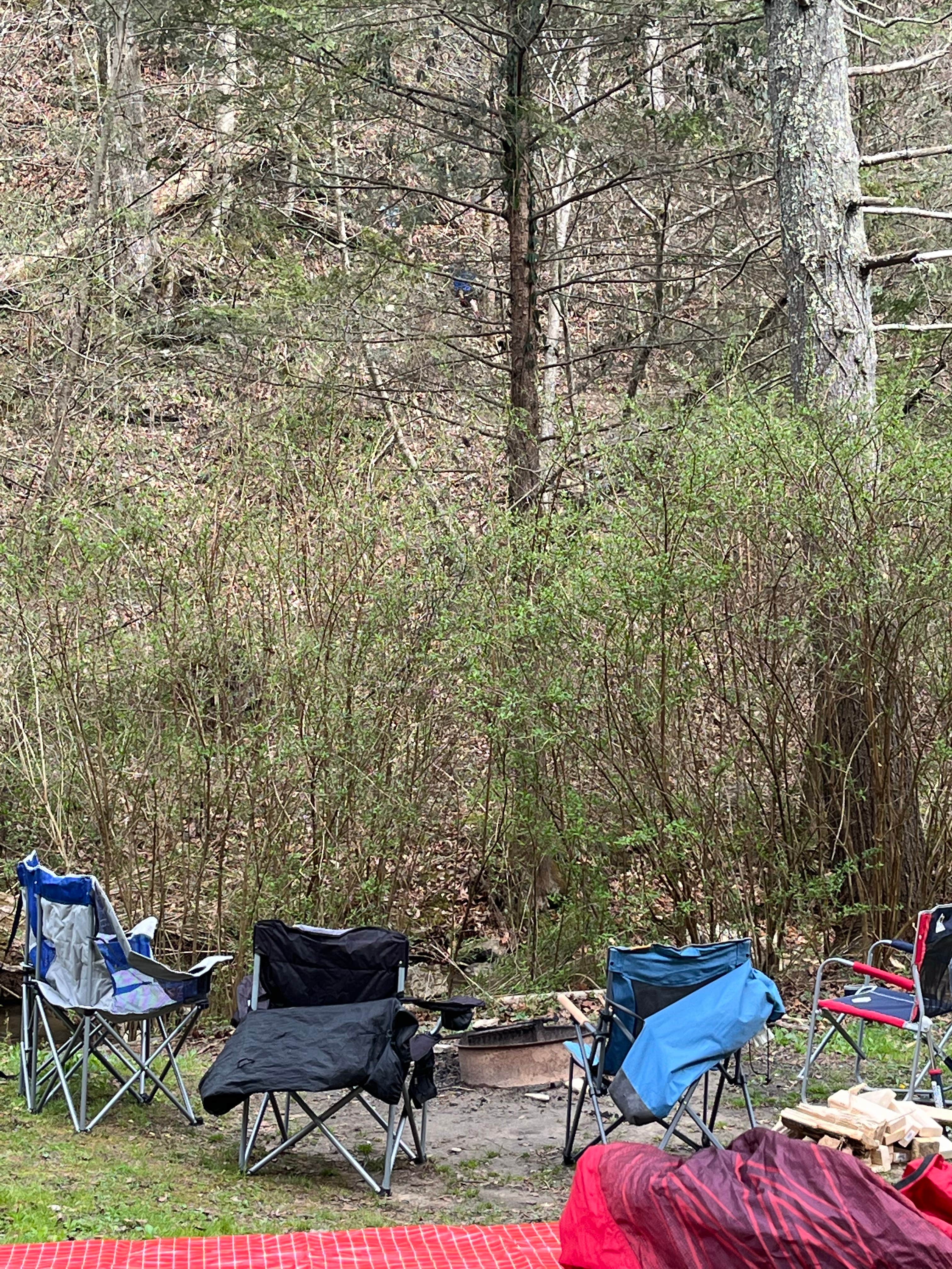 Elana C.'s photo at Whittleton Campground — Natural Bridge State Resort Park near Means, KY
