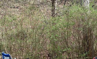 Elana C.'s photo at Whittleton Campground — Natural Bridge State Resort Park near Beattyville, KY