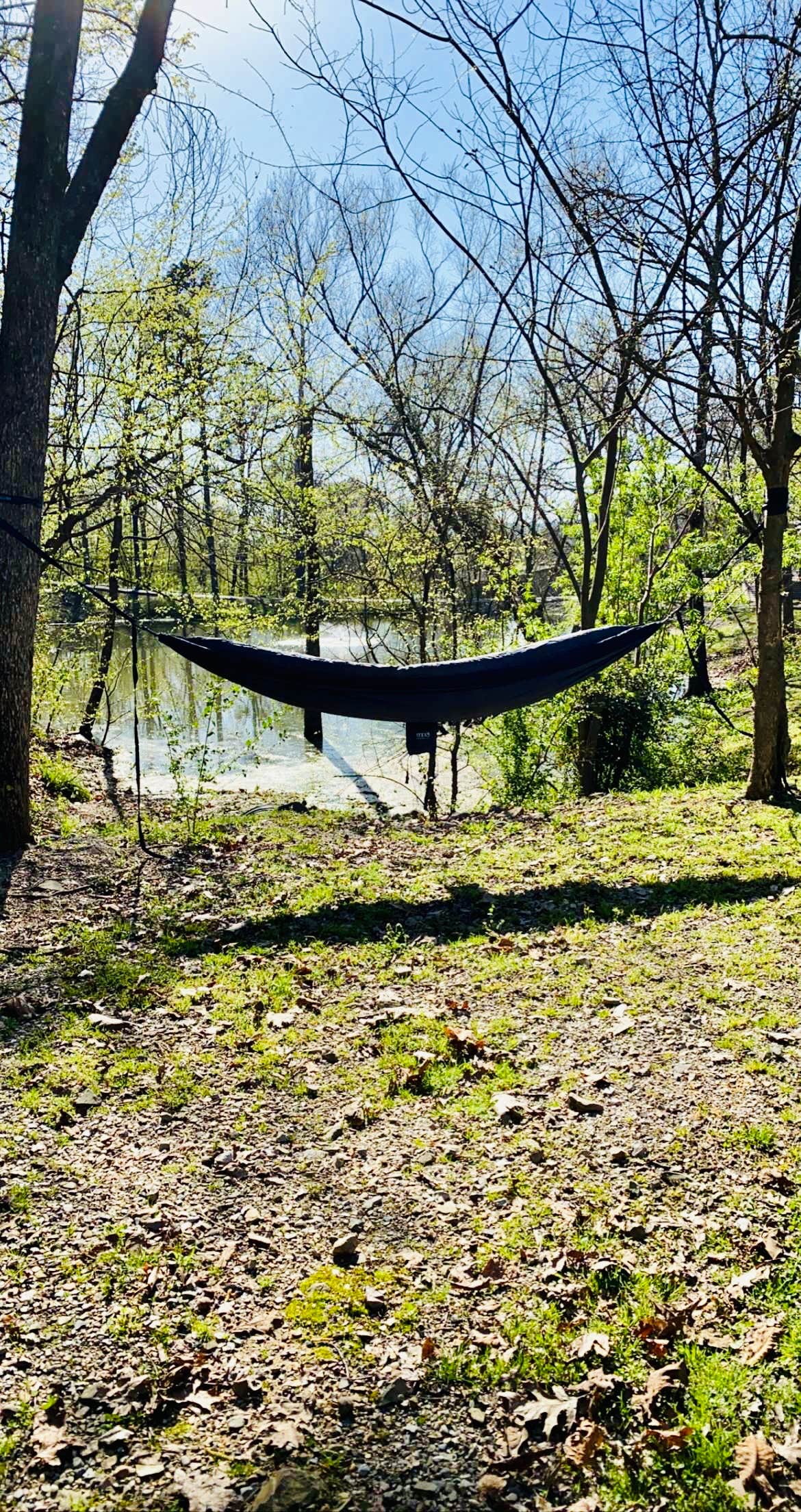 Camper submitted image from Hot Springs National Park KOA - 4
