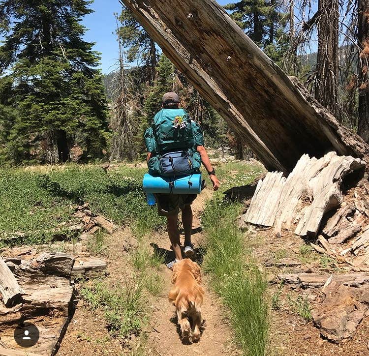 Stacie M.'s photo of camping with pets at Dorst Creek Campground — Sequoia National Park - TEMPORARILY CLOSED near Three Rivers, CA