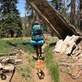Review photo of Dorst Creek Campground — Sequoia National Park by Stacie M., April 21, 2022
