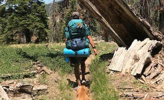 Stacie M.'s photo of camping with pets at Dorst Creek Campground β Sequoia National Park - TEMPORARILY CLOSED near Sequoia and Kings Canyon National Parks