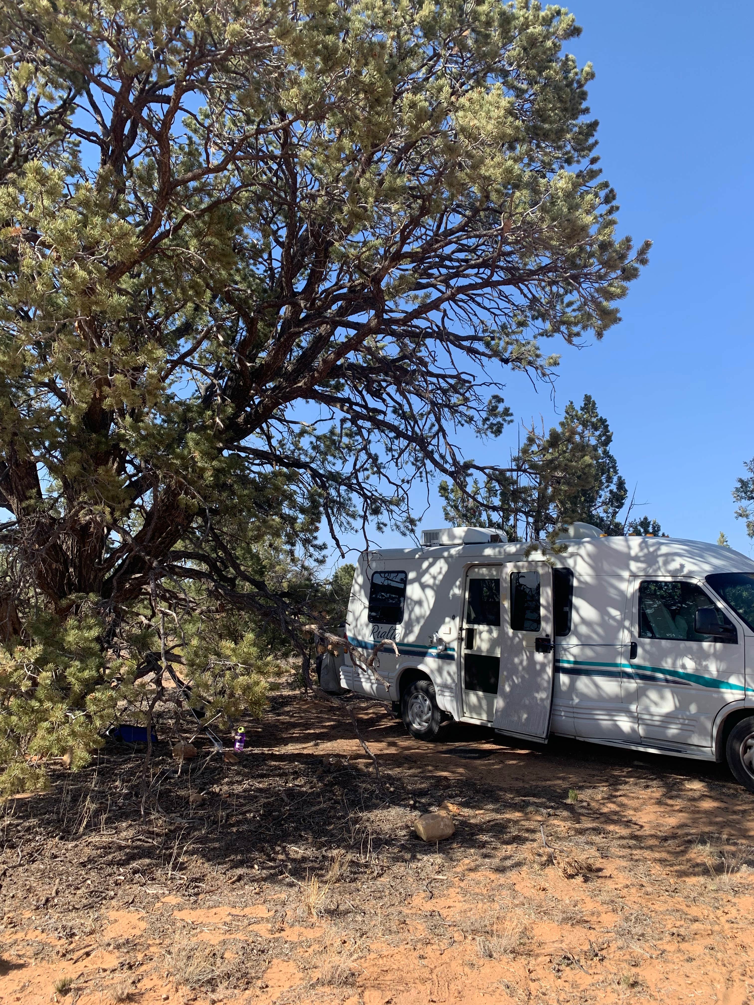 Camping near South Hell's Backbone Road: Head of the Rock dispersed, Escalante, Utah