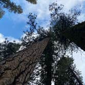 Review photo of Hodgdon Meadow Campground — Yosemite National Park by Tim G., April 22, 2022