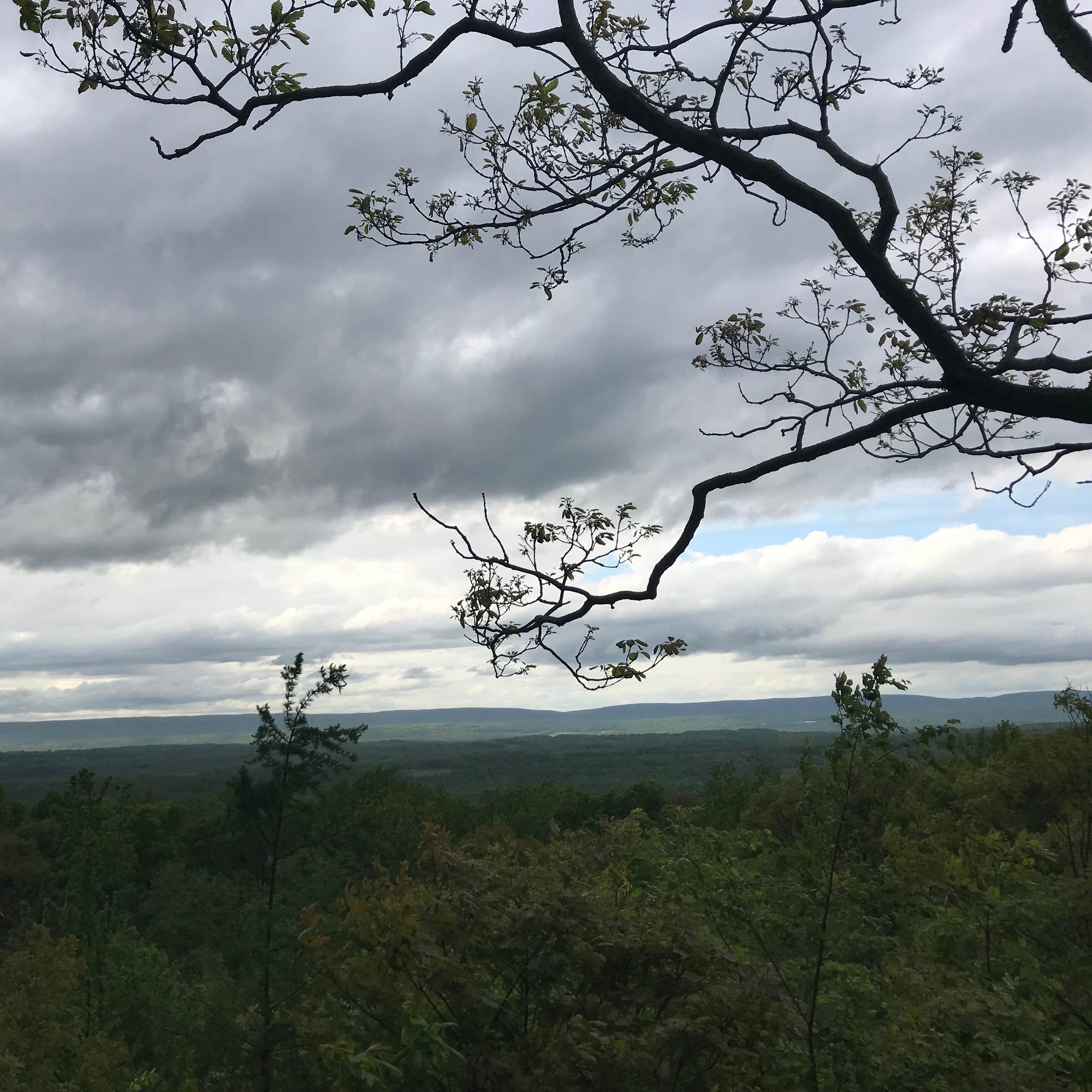 Jenny Jump State Forest Camping | The Dyrt