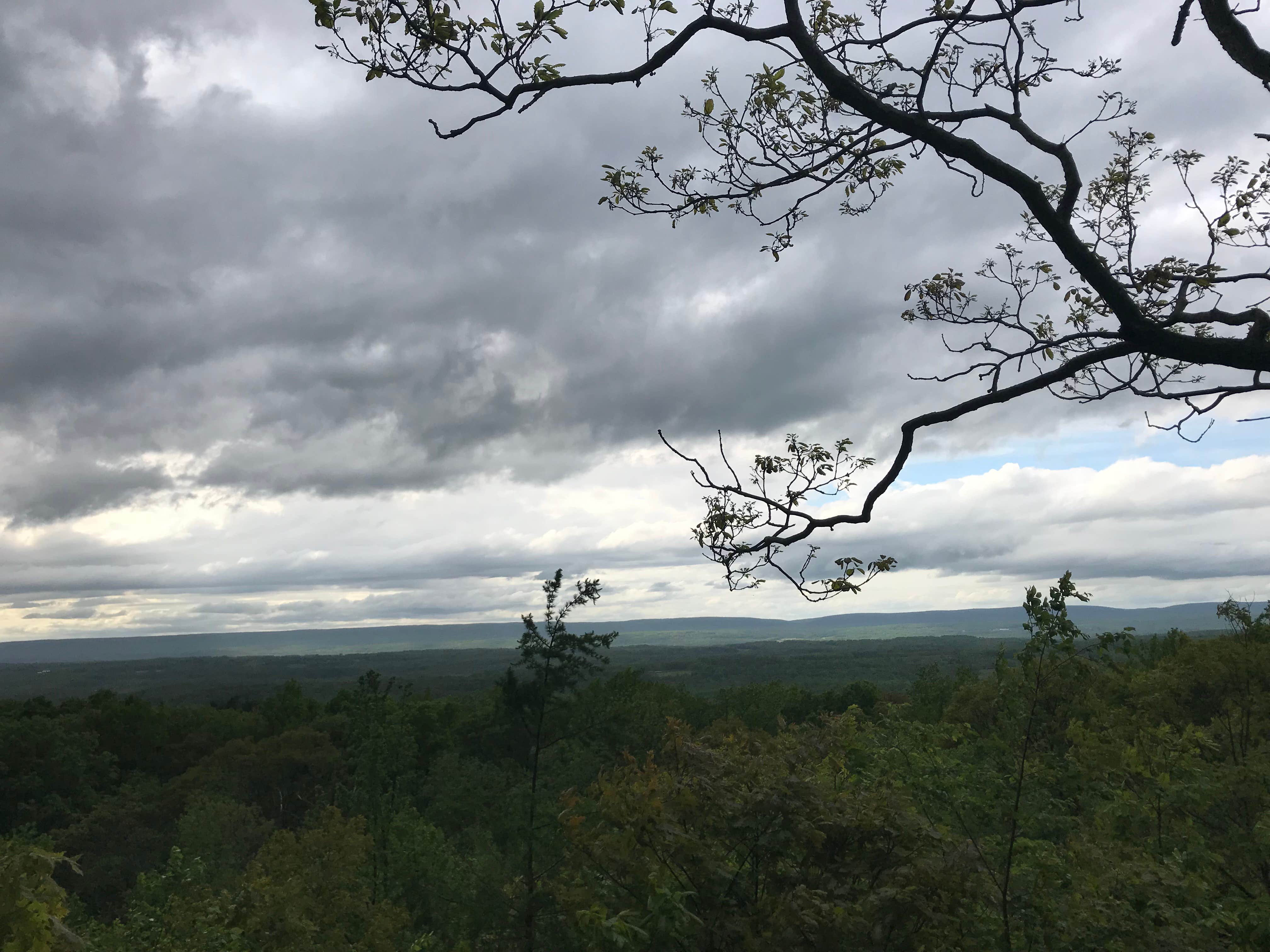 Camper submitted image from Jenny Jump State Forest - 2