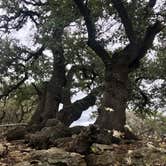 Review photo of Fort Richardson State Park Hist. Site and Trailway by Susan L., April 22, 2022