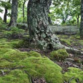 Review photo of Jenny Jump State Forest by Fransheska A., July 12, 2018