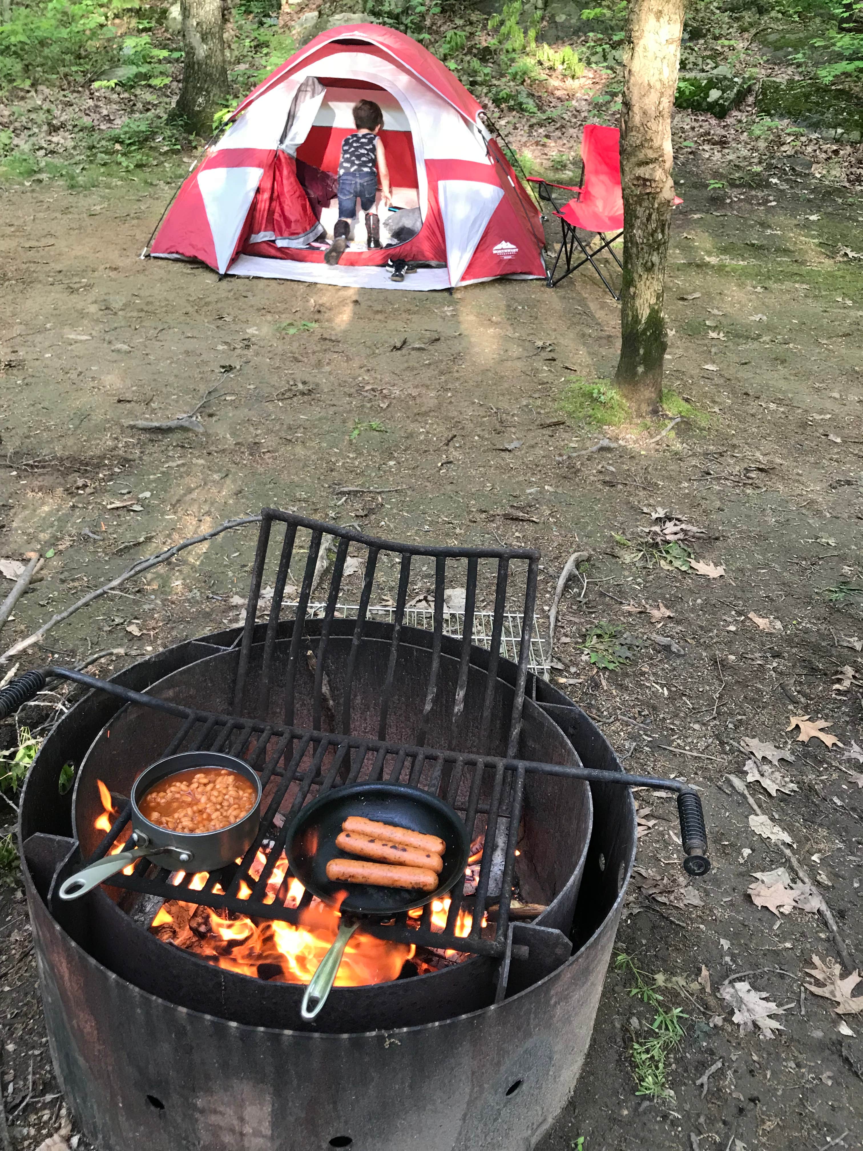 Camper submitted image from Jenny Jump State Forest - 4