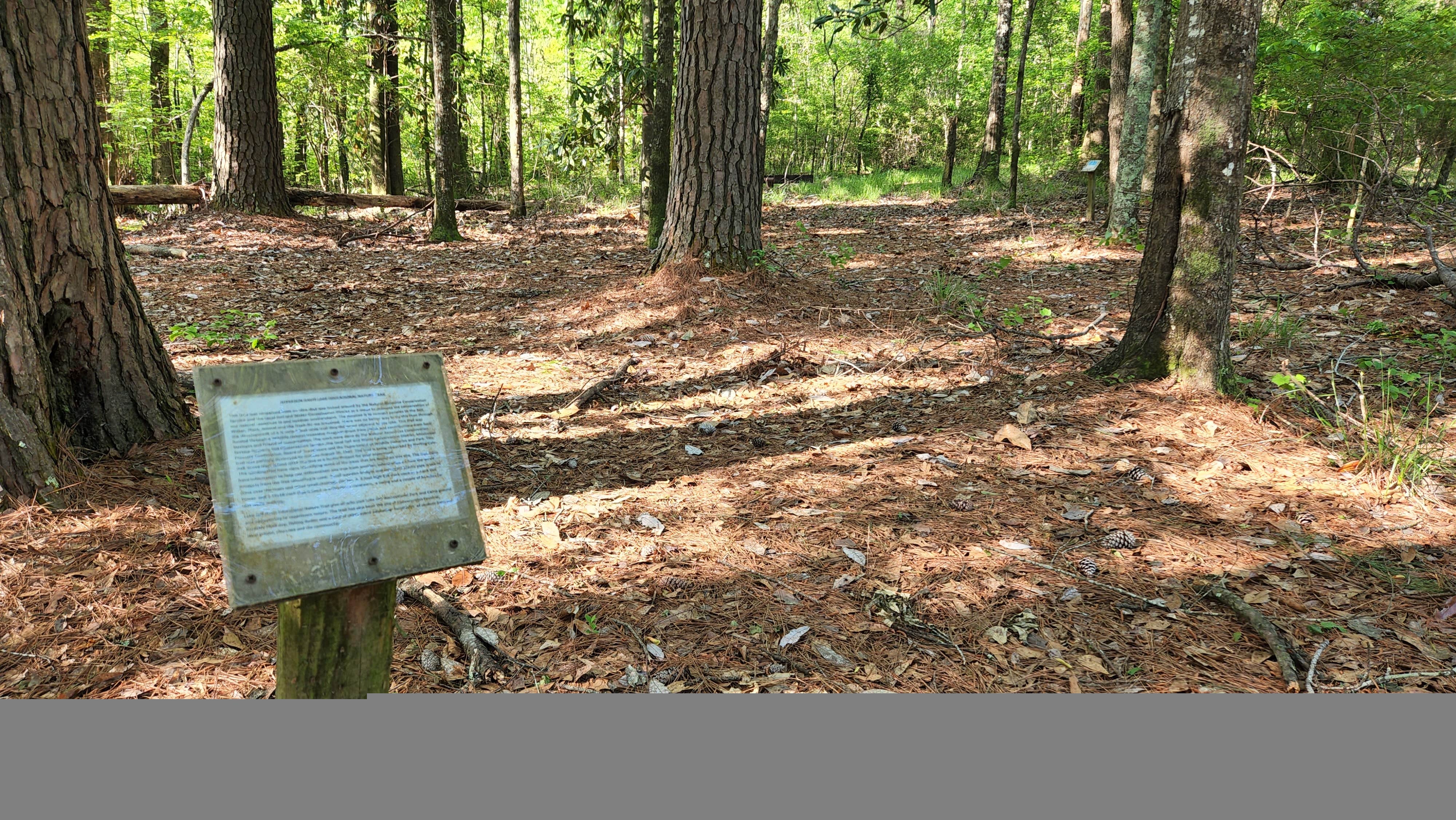 Camping near Four Seasons RV Park: Lake Jeff Davis, Holly Springs, Mississippi