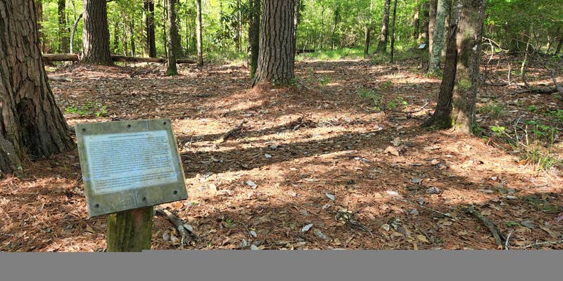 Camper submitted image from Lake Jeff Davis