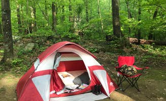 Fransheska A.'s photo of tent camping at Jenny Jump State Forest near Glen Ridge, NJ