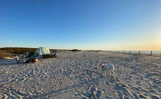 professorthedog P.'s photo at Bayside Assateague Campground — Assateague Island National Seashore near Chincoteague Island, VA