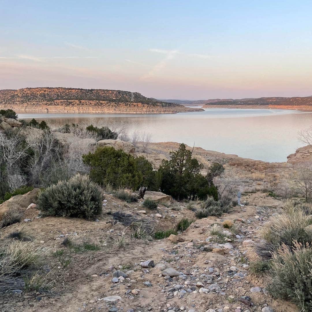 Pinon/Pine Campground - Navajo Lake State Park Camping | The Dyrt