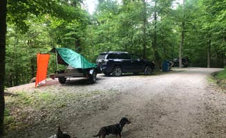 Shelly S.'s photo at Blue Heron Campground — Big South Fork National River and Recreation Area near Lake Cumberland
