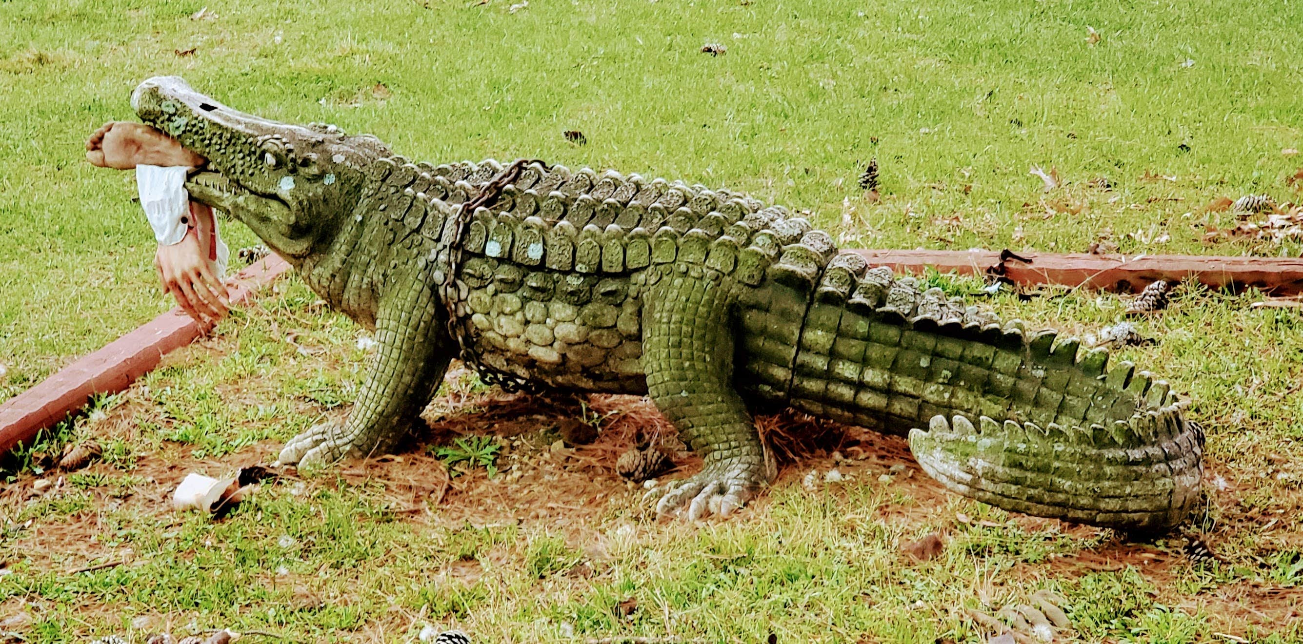 Camper-submitted photo at Shreveport Bossier City KOA near Shreveport, LA