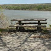 Review photo of Woody Trail - Twin Bridges — Grand Lake State Park by Jo E., April 22, 2022