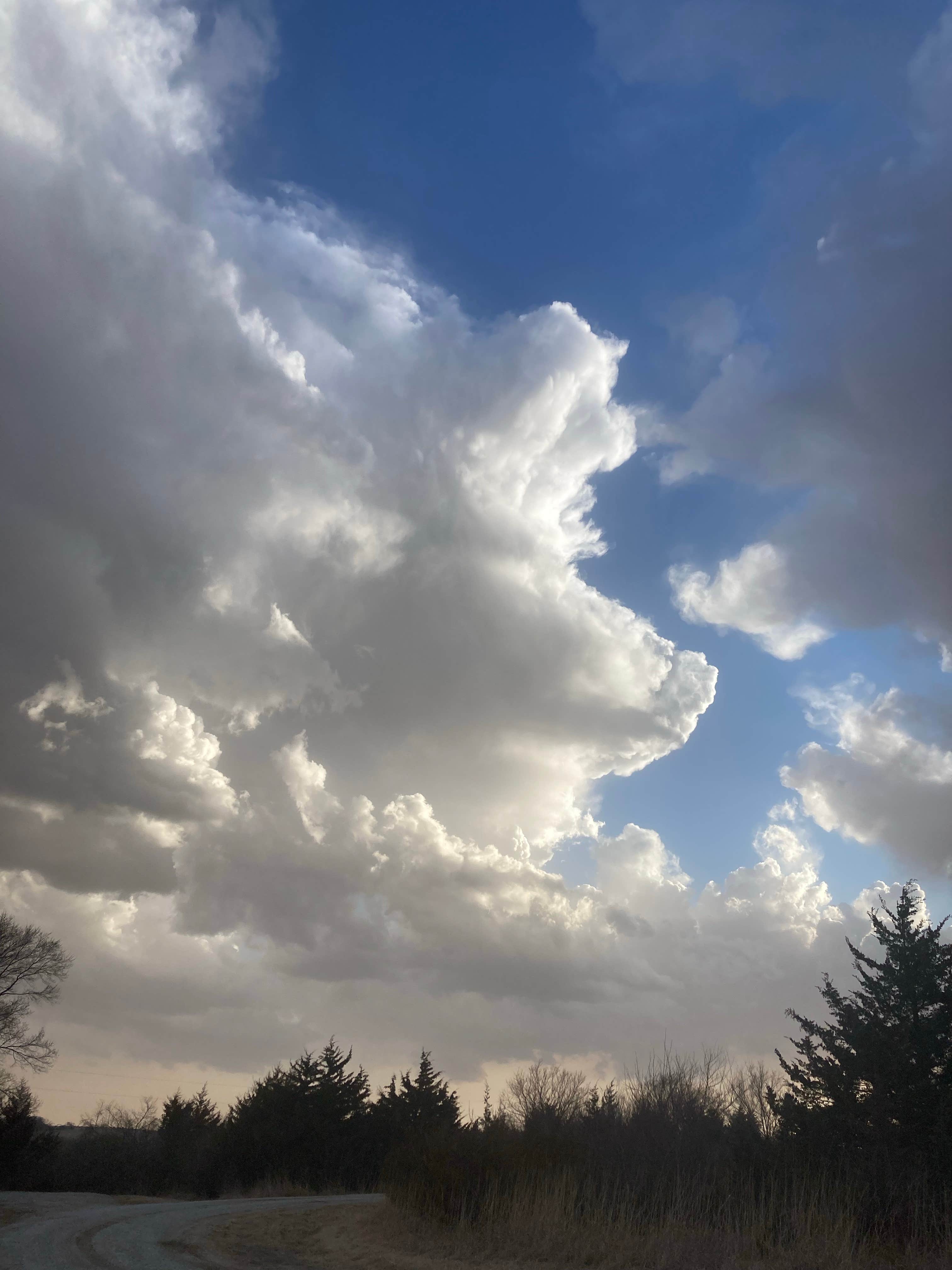 Camper-submitted photo at Timber Point Wetland near Brainard, NE